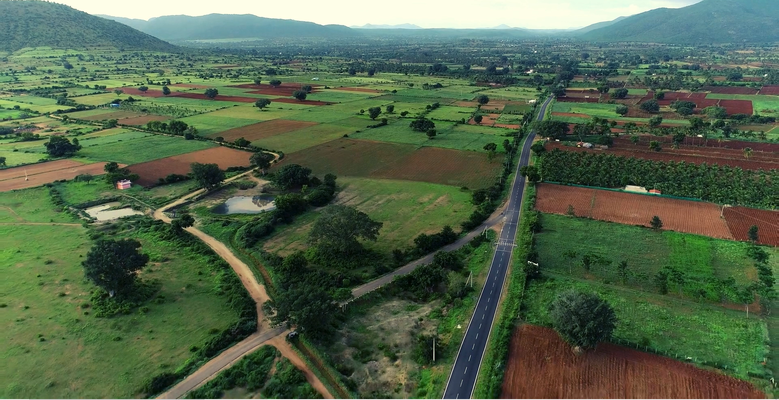 Tribal Trails